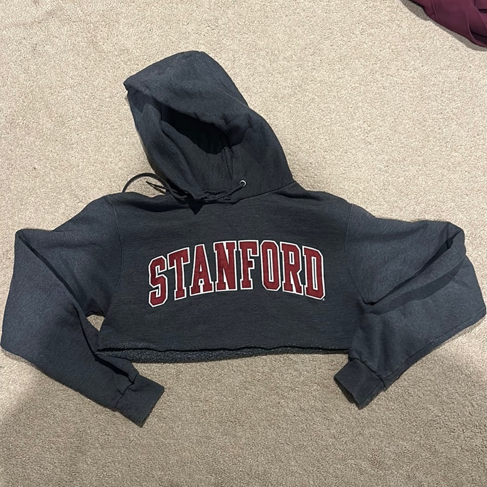 Cropped Stanford Hoodie